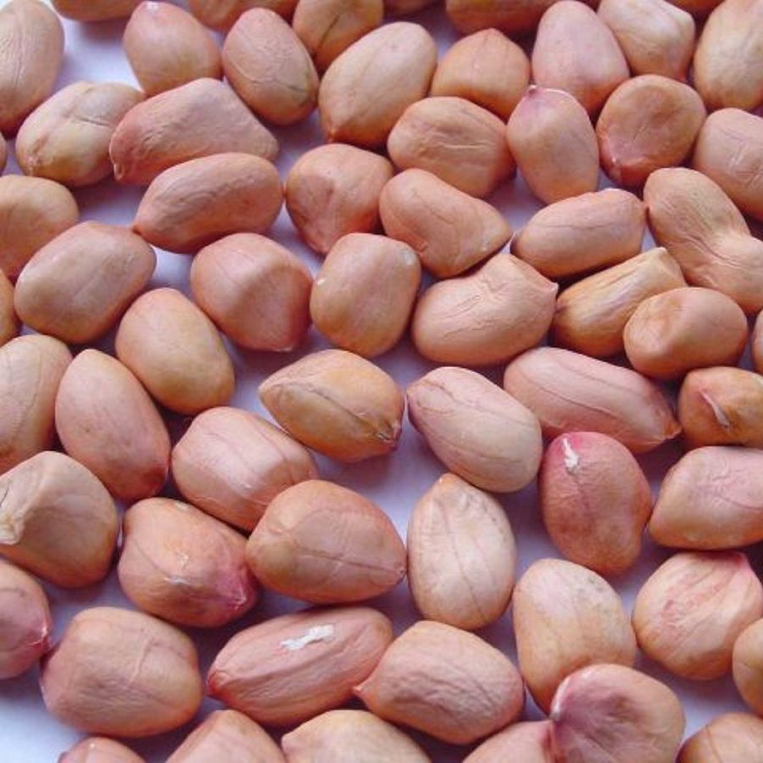 Nuts - Groundnuts