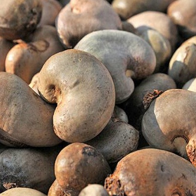 Raw Cashew