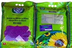 seeds trans