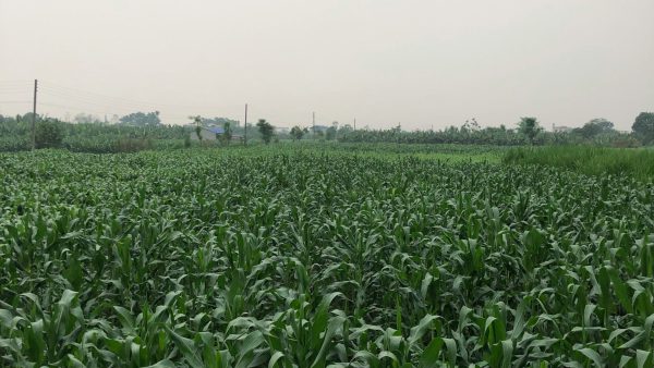 prabin basnet 3dlowmi7fiu unsplash